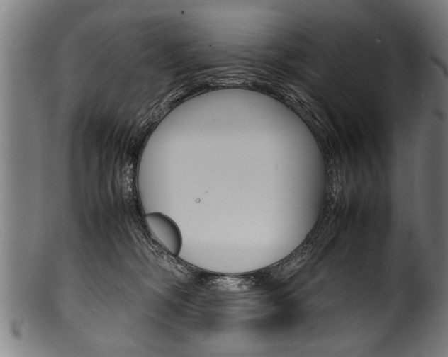 X0000100980326200806241154