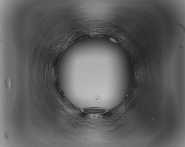X0000100980327200806241154