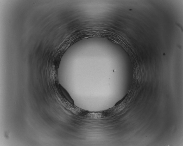 X0000100980328200806241154