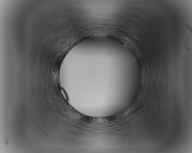 X0000100980329200806241154