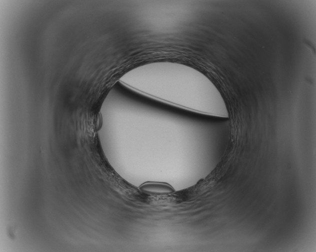 X0000100980331200806241154