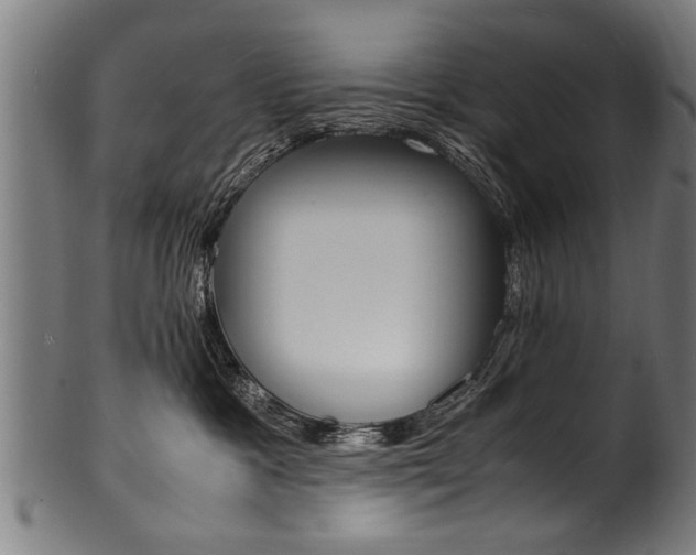 X0000100980333200806241154
