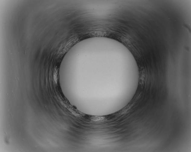 X0000100980334200806241154