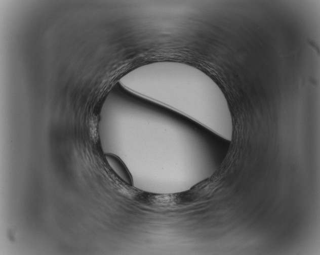X0000100980335200806241154