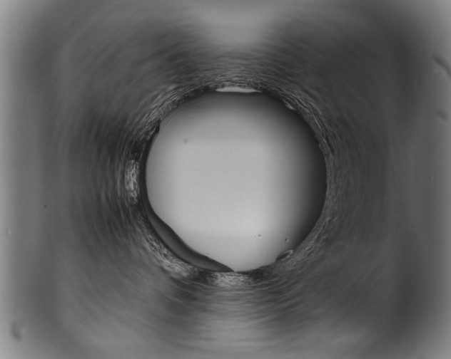 X0000100980336200806241154