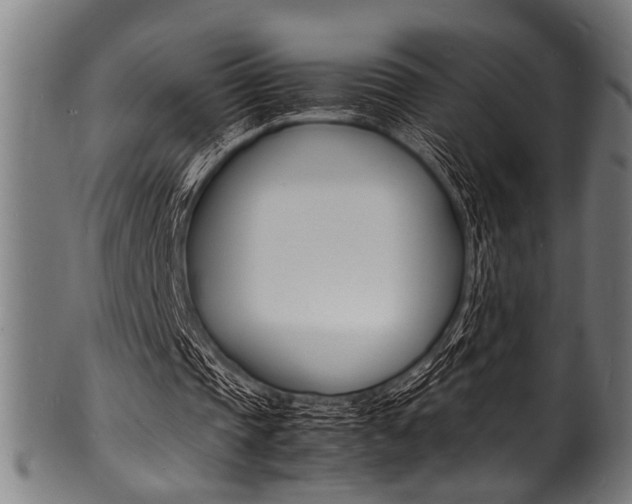 X0000100980337200806241153