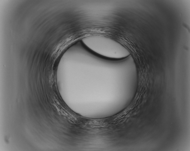 X0000100980338200806241153