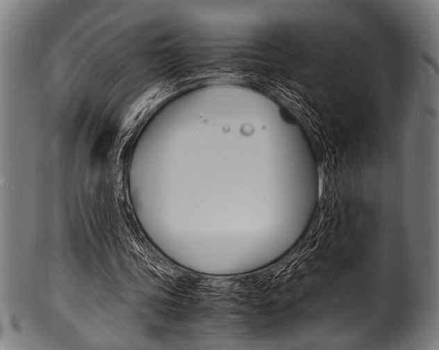 X0000100980339200806241153
