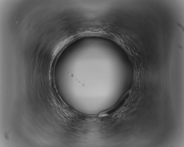 X0000100980340200806241153