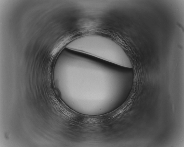 X0000100980341200806241153