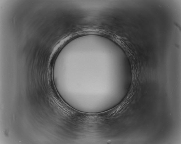 X0000100980342200806241153