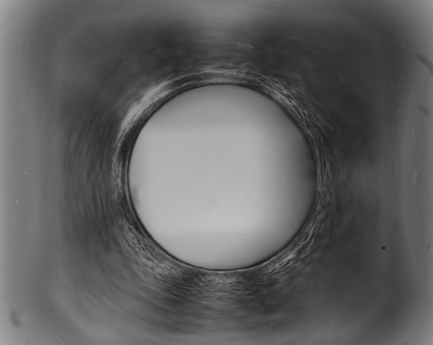 X0000100980343200806241153