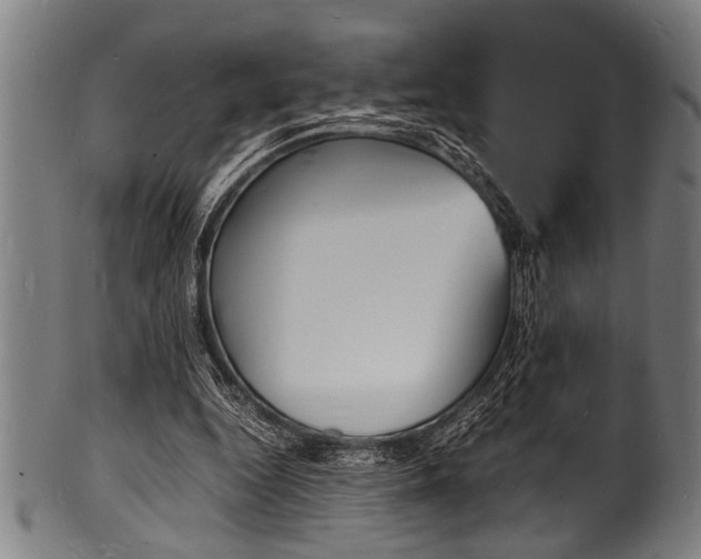 X0000100980344200806241153