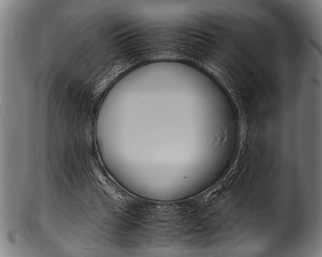 X0000100980345200806241153