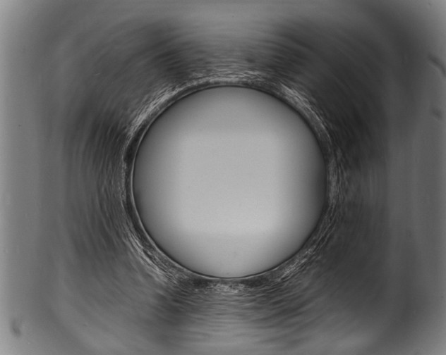 X0000100980346200806241153