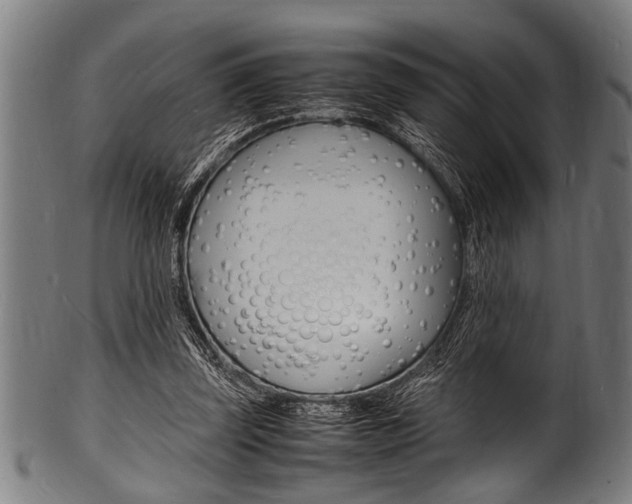 X0000100980347200806241153