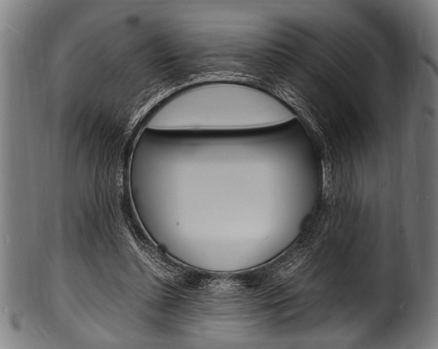 X0000100980348200806241153