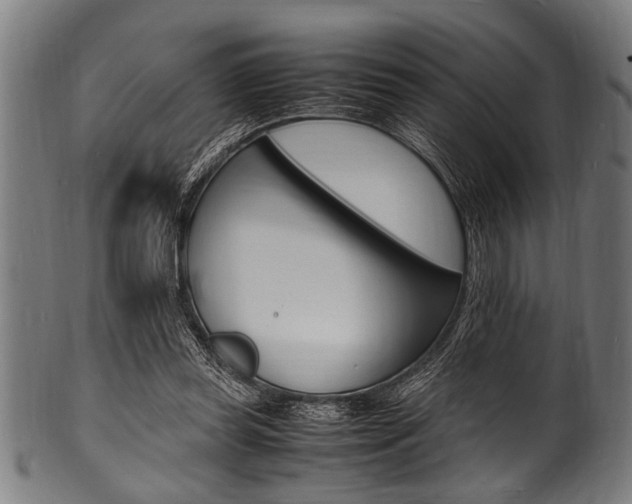 X0000100980349200806241153