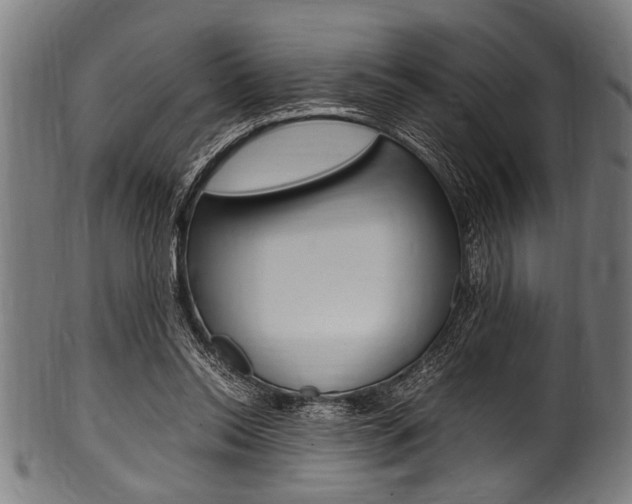 X0000100980350200806241153