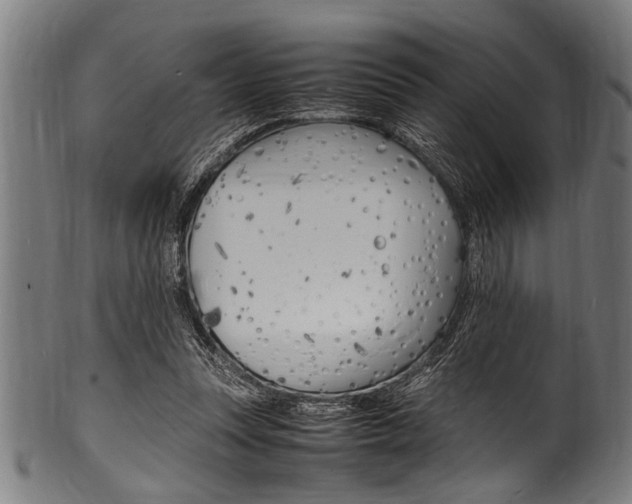 X0000100980351200806241153
