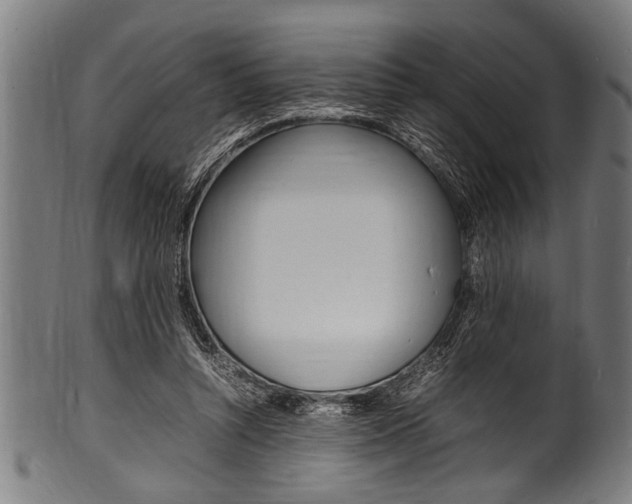 X0000100980352200806241153