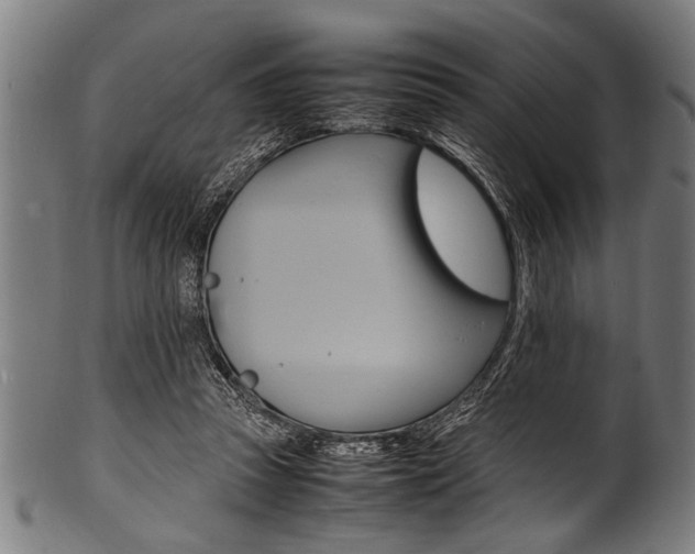 X0000100980353200806241153