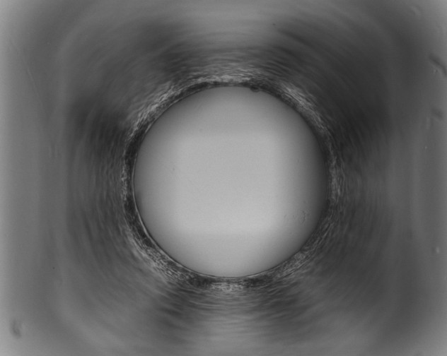 X0000100980354200806241153