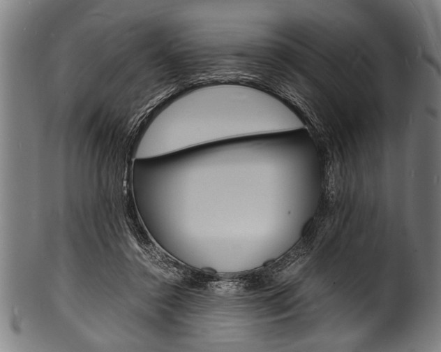 X0000100980356200806241153