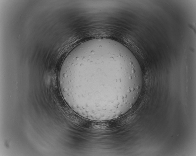 X0000100980359200806241153