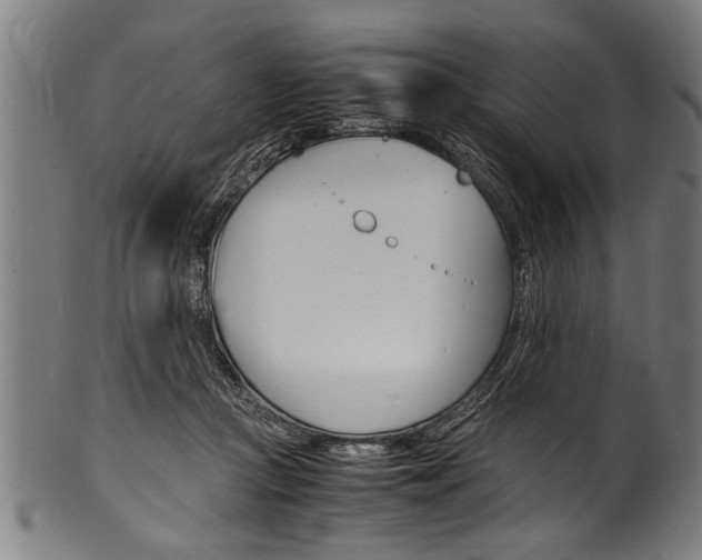 X0000100980361200806241154