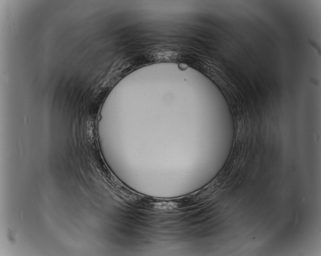 X0000100980363200806241154