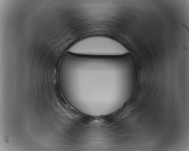 X0000100980364200806241154