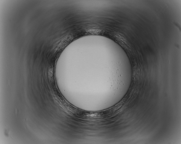 X0000100980365200806241154