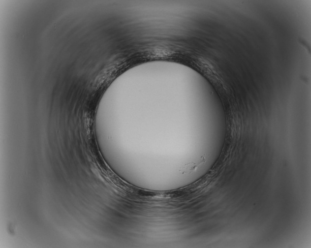 X0000100980366200806241154