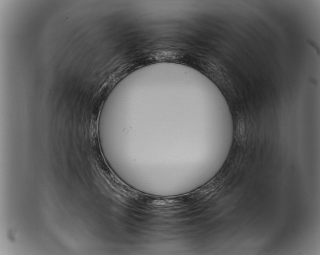 X0000100980367200806241154