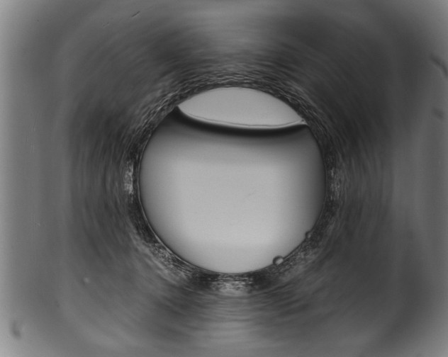 X0000100980368200806241154