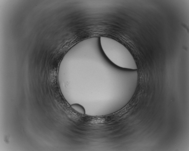 X0000100980369200806241154