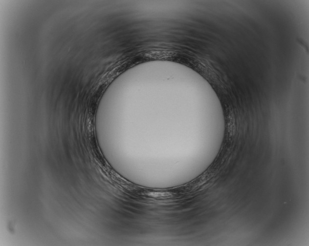 X0000100980371200806241154