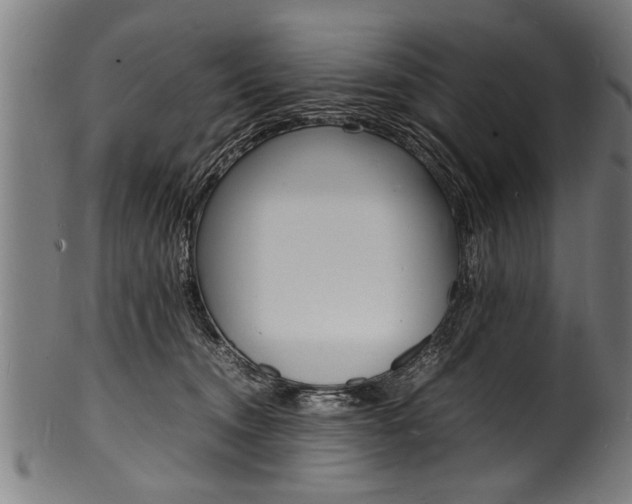 X0000100980372200806241154