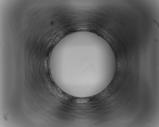 X0000100980373200806241154