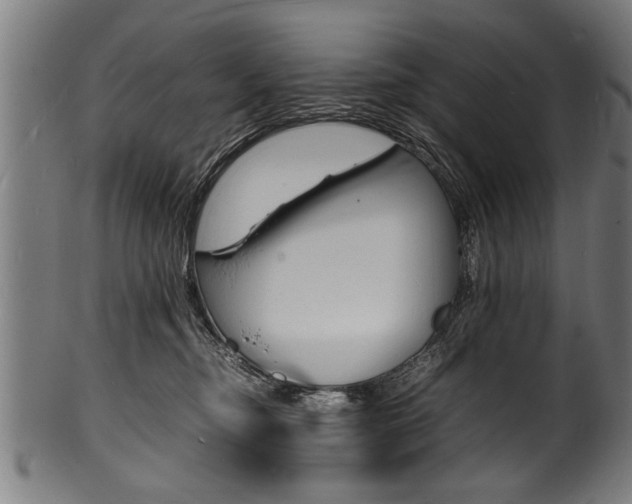 X0000100980374200806241154