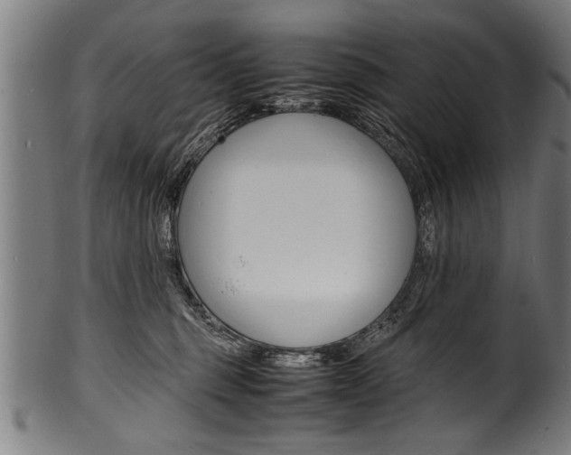 X0000100980375200806241154
