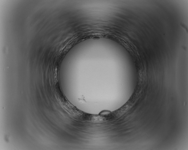 X0000100980376200806241154