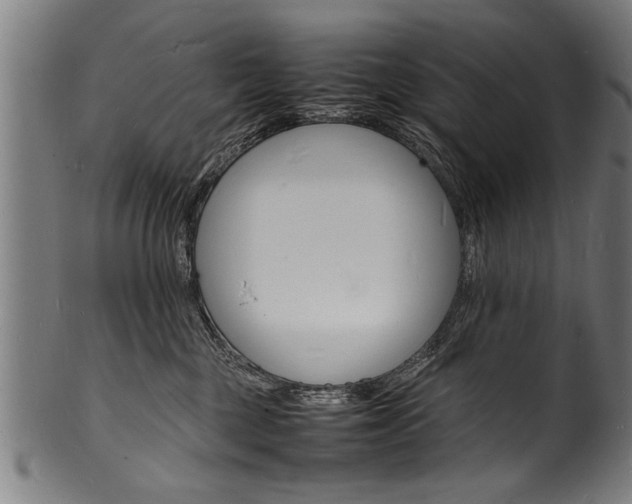 X0000100980377200806241154