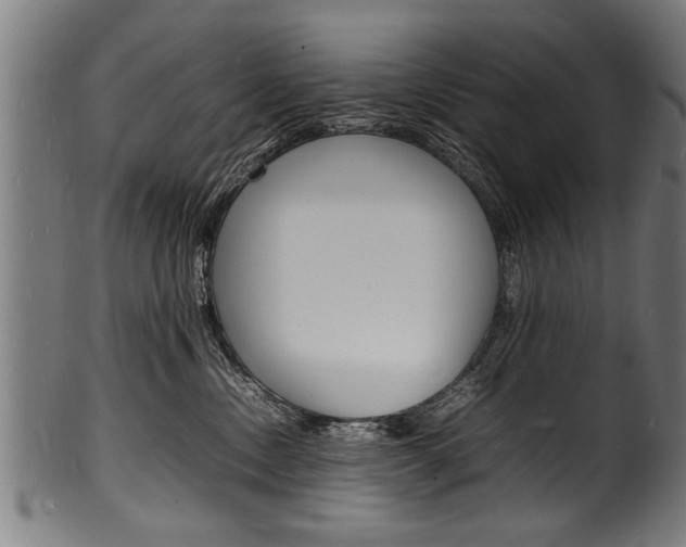 X0000100980378200806241154