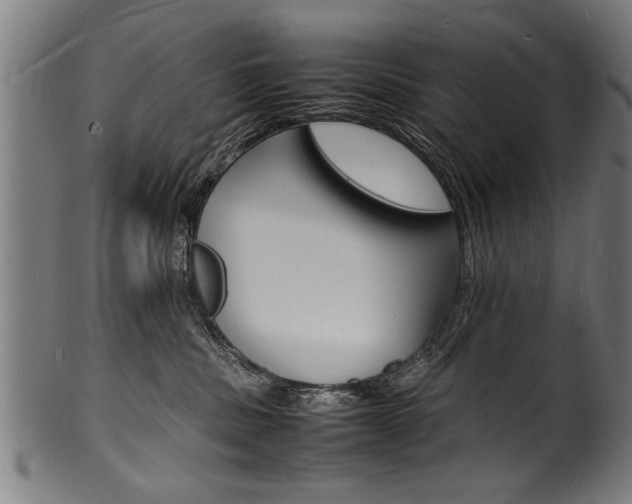 X0000100980379200806241154