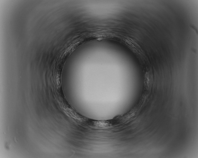 X0000100980380200806241154