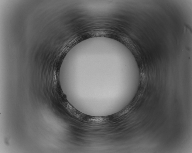 X0000100980381200806241154
