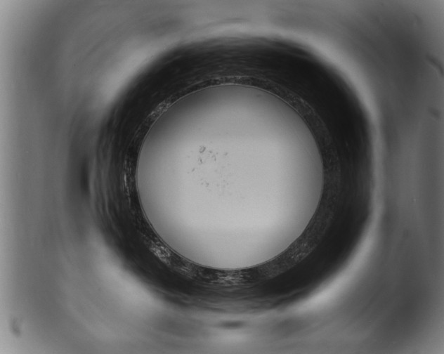 X0000100980382200806241154