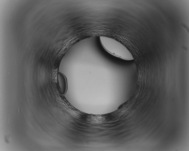 X0000100980383200806241154